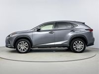 tweedehands Lexus NX300h AWD Luxury Line Limited | Elektrisch verstelbare b