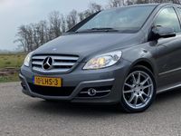 Afbeelding 3