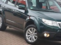 tweedehands Subaru Forester 2.0 XS 40 Year Edition AWD | Navigatie | Panoramad