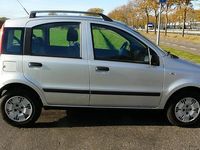 Occasion Fiat Panda 60 PK (44 kW) 2008 Grijs (metallic) Hatchback