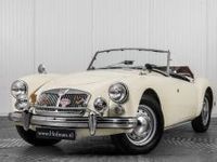 Occasion MG 1600 79 PK (58 kW) 1961 Wit Cabriolet