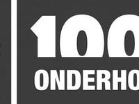 Occasion Toyota RAV4 Hybrid Executive 155 PK (114 kW) 2019 Grijs (metallic) SUV