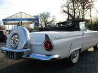 tweedehands Ford Thunderbird - 1956