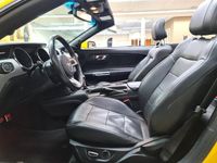 tweedehands Ford Mustang GT Convertible 2.3 EcoBoost | Automaat | Premium Plus | US Livery | 20" LM | Prijs incl. BPM, Kenteken ,APK en 6 mnd. garantie