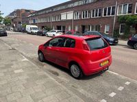 Afbeelding 3