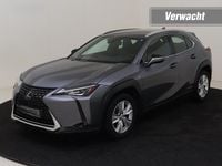 Occasion Lexus UX 250h 152 PK (111 kW) 2022 Grijs (metallic) SUV