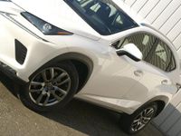 tweedehands Lexus NX300h Business Line, Leer| Carplay| Adapp. Cruise