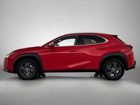 Occasion Lexus UX 250h Luxury Line 184 PK (135 kW) 2023 Rood SUV