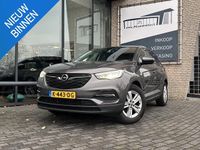 Occasion Opel Grandland X Business 131 PK (96 kW) 2020 Grijs SUV