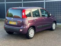 Occasion Fiat Panda 60 PK (44 kW) 2014 Paars Hatchback
