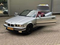 Afbeelding 3