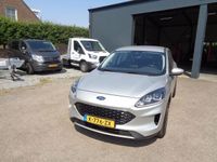 Afbeelding 2