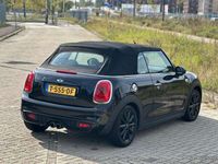 tweedehands Mini Cooper S Cabriolet 2.0 Salt | | AUT | Led | Leer | Navi