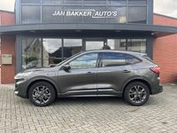 Afbeelding 3