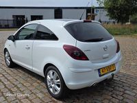 Afbeelding 3