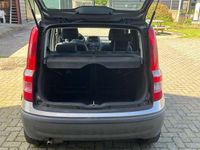 tweedehands Fiat Panda 1.2 Edizione Cool