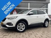 Occasion Opel Grandland X Business 131 PK (96 kW) 2020 Wit SUV