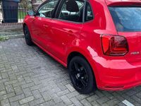 tweedehands VW Polo 1.0 First Edition