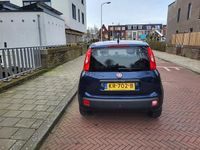 Occasion Fiat Panda 80 PK (58 kW) 2016 Blauw Hatchback