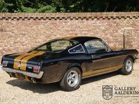 tweedehands Ford Mustang GT Fastback Shelby 350H