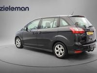 Occasion Ford C-MAX Trend 150 PK (110 kW) 2012 Zwart MPV