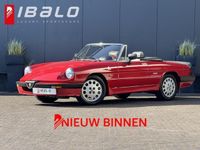 Occasion Alfa Romeo Spider Quadrifoglio Verde 128 PK (94 kW) 1989 Rood Cabriolet