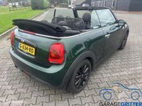 Occasion Mini Cooper Cabriolet Business 136 PK (100 kW) 2016 Groen Cabriolet