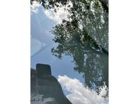 Occasion Renault Grand Scénic III Expression 110 PK (80 kW) 2011 Bruin MPV