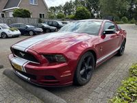 Afbeelding 2