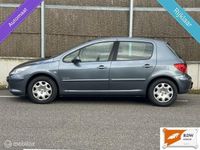 Occasion Peugeot 307 109 PK (80 kW) 2006 Grijs Hatchback