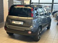 tweedehands Fiat Panda Cross Launch Edition | 1ste Eigenaar | 70 Pk | 21d