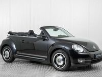 Occasion VW Beetle Cabriolet Edition 2014 Zwart Cabriolet