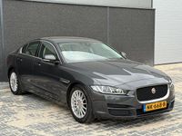 Afbeelding 3