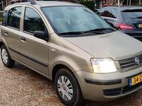 Occasion Fiat Panda 60 PK (44 kW) 2008 Beige (metallic) Hatchback