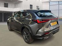 Occasion Lexus NX350h Luxury Line 243 PK (178 kW) 2023 Grijs SUV