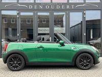 tweedehands Mini Cooper Cabriolet 1.5 Salt Automaat Climate / Blackline / 2020