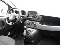 tweedehands Fiat Panda 1.0 Hybrid | NIEUW | Airco | Multimedia | Hogere zitpositie | Zuinige motor