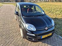 Occasion Fiat Panda Easy 65 PK (47 kW) 2013 Zwart Hatchback
