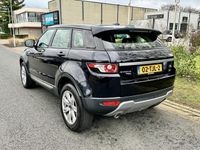 tweedehands Land Rover Range Rover evoque 2.2 TD4 4WD Pure 150PK