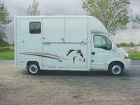 tweedehands Renault Master 2-PAARDS PAARDENAUTO