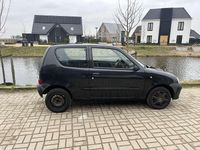 Occasion Fiat Seicento S 54 PK (39 kW) 2003 Zwart Hatchback