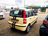 tweedehands Fiat Panda 1.2 Dynamic