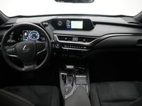 tweedehands Lexus UX 250h First Edition | Limited | Stoelverwarming | Stuurwielverwarming