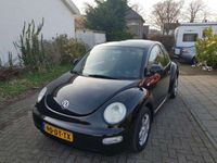 tweedehands VW Beetle New2.0 Highline VOOR DE LIEFHEBBER 1950 EURO YOUNGTIM