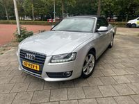 Afbeelding 1