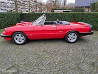 tweedehands Alfa Romeo Spider 1600 1986 Cabriolet