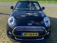 tweedehands Mini Cooper Cabriolet 136PK Serious Business