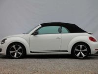 tweedehands VW Beetle Cabriolet 1.4 TSI DSG Sport Exclusive -160 pk **Leer / Xenon