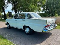 Occasion Mercedes 220 110 PK (80 kW) 1965