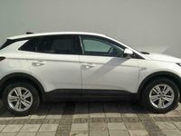 tweedehands Opel Grandland X 1.2 Turbo Online Edition RIJKLAAR PRIJS